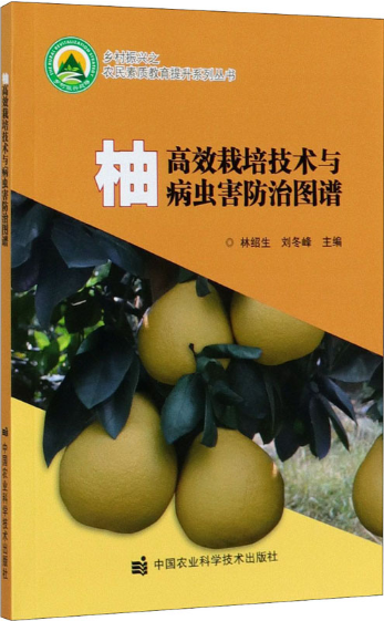 1763107238795356.png 1763107238795356.png